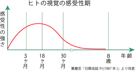 感受性期